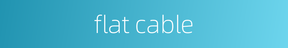 flat cable的同义词
