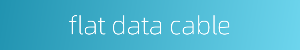 flat data cable的同义词