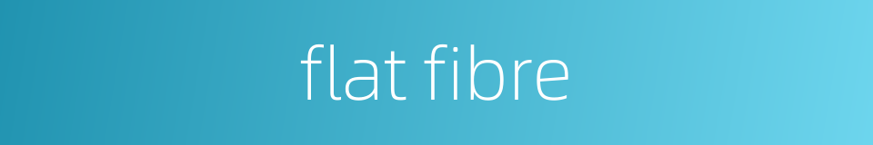flat fibre的同义词