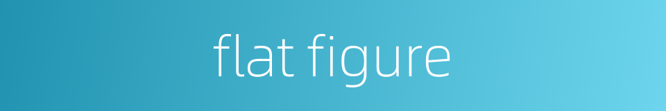 flat figure的同义词