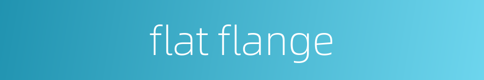 flat flange的同义词