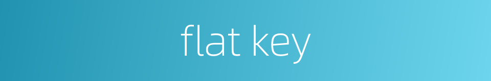 flat key的同义词