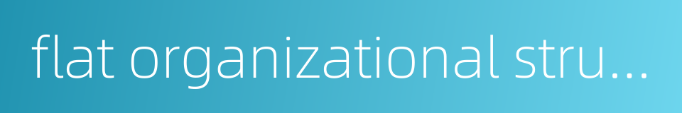 flat organizational structure的同义词
