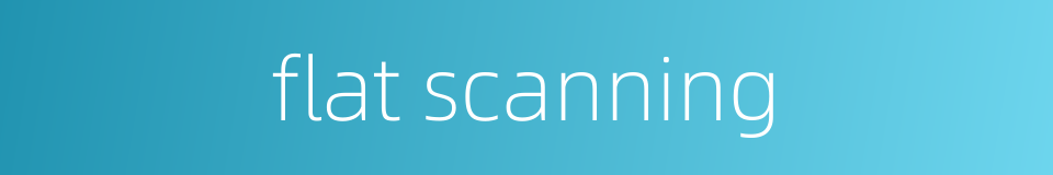 flat scanning的同义词