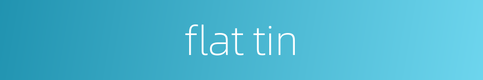 flat tin的同义词