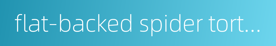 flat-backed spider tortoise的同义词