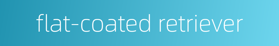 flat-coated retriever的同义词