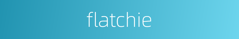 flatchie的同义词