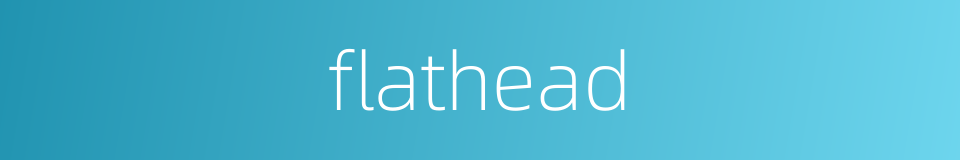 flathead的同义词