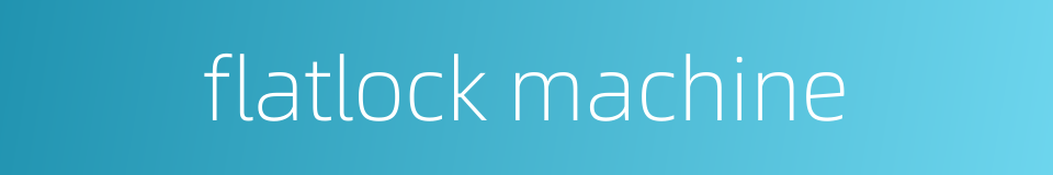 flatlock machine的同义词