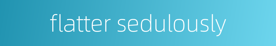 flatter sedulously的同义词