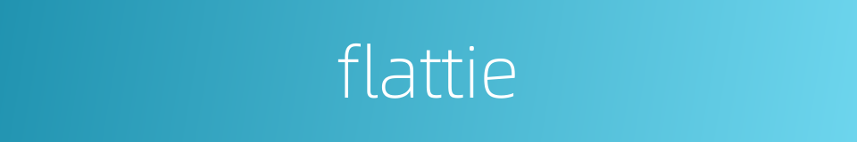 flattie的同义词