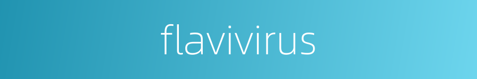 flavivirus的同义词