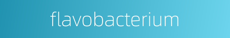 flavobacterium的同义词