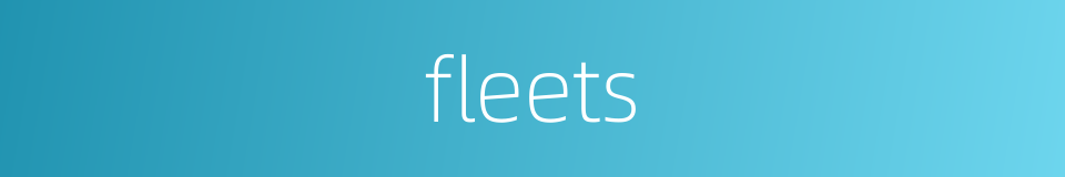 fleets的同义词