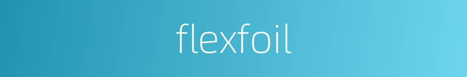 flexfoil的同义词