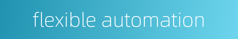 flexible automation的同义词