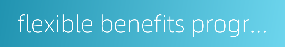flexible benefits programs的同义词