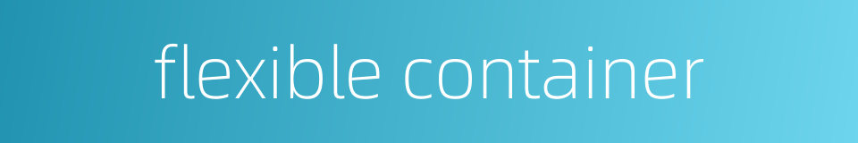 flexible container的同义词