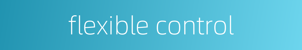 flexible control的同义词