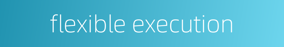 flexible execution的同义词