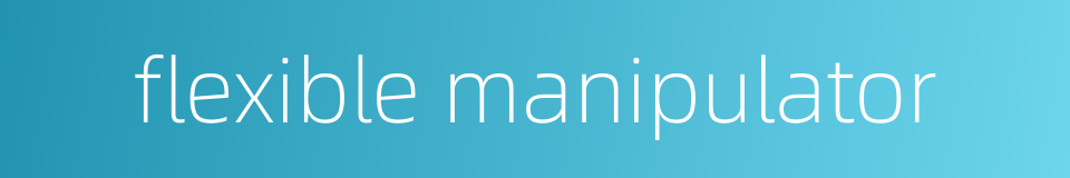 flexible manipulator的同义词