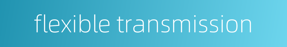 flexible transmission的同义词