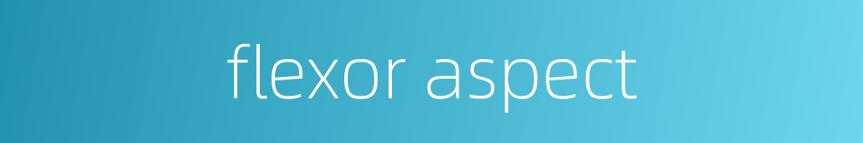 flexor aspect的同义词