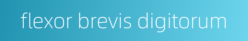 flexor brevis digitorum的同义词