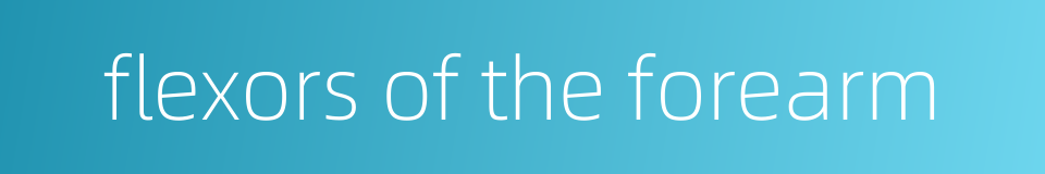 flexors of the forearm的同义词