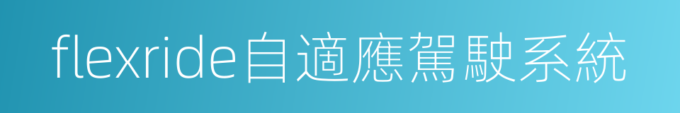 flexride自適應駕駛系統的同義詞