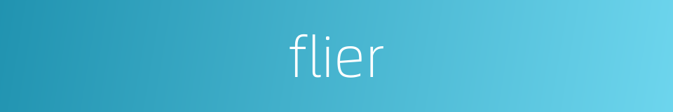 flier的同义词