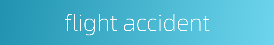 flight accident的同义词