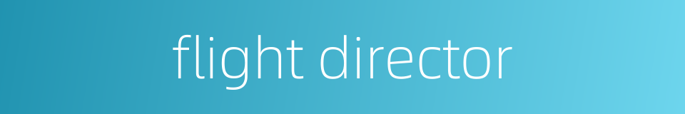 flight director的同义词