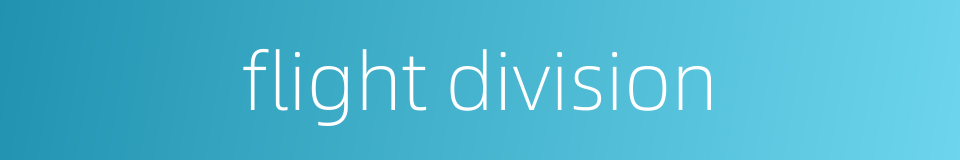 flight division的同义词