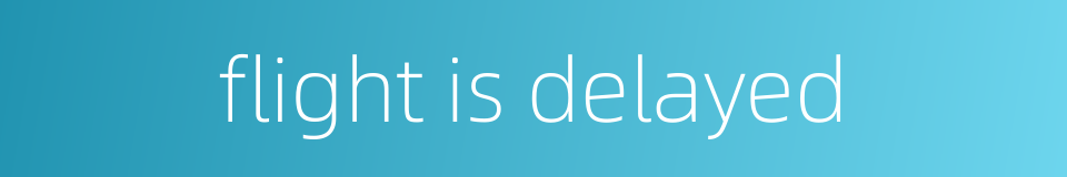 flight is delayed的同义词