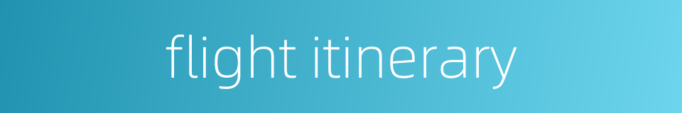 flight itinerary的同义词