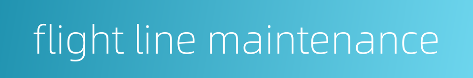 flight line maintenance的同义词
