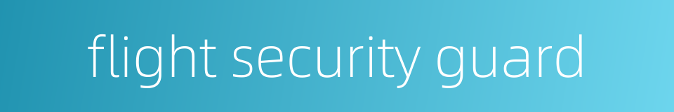 flight security guard的同义词