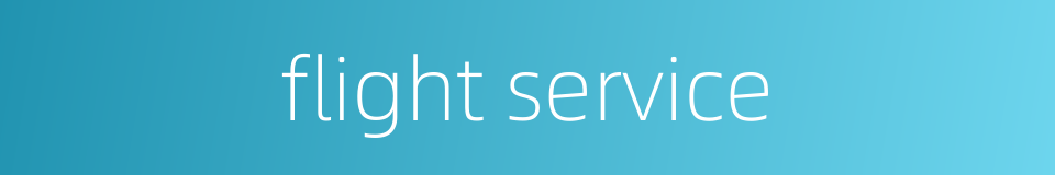 flight service的同义词