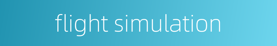 flight simulation的同义词