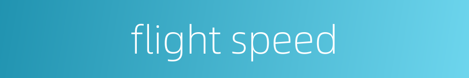 flight speed的同义词