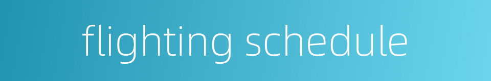 flighting schedule的同义词