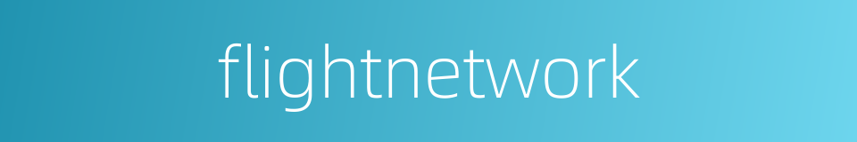 flightnetwork的同义词