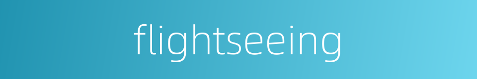 flightseeing的同义词