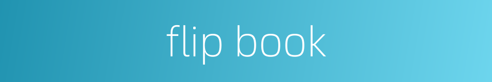 flip book的同义词