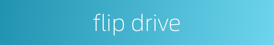 flip drive的同义词