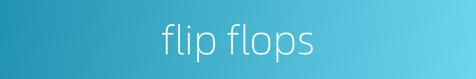 flip flops的同义词