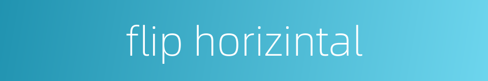flip horizintal的同义词