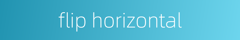 flip horizontal的同义词